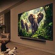 LG 75 英寸 LG QNED evo AI QNED85 MiniLED 4K 智能电视 2025, 一个女孩和一条狗坐在一台 LG QNED TV 前面，这台电视安装在墙上，正在显示三只向外走的大象，LG Soundbar 位于这台电视下方。标题讲述了在大型屏幕上，每个动作如何更加令人兴奋。, 75QNED85ACA, thumbnail 9