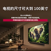 LG 65 英寸 LG QNED evo AI QNED85 MiniLED 4K 智能电视 2025, 一个女孩和一条狗坐在一台 LG QNED TV 前面，这台电视安装在墙上，正在显示三只向外走的大象，LG Soundbar 位于这台电视下方。标题讲述了在大型屏幕上，每个动作如何更加令人兴奋。, 65QNED85ACA, thumbnail 8