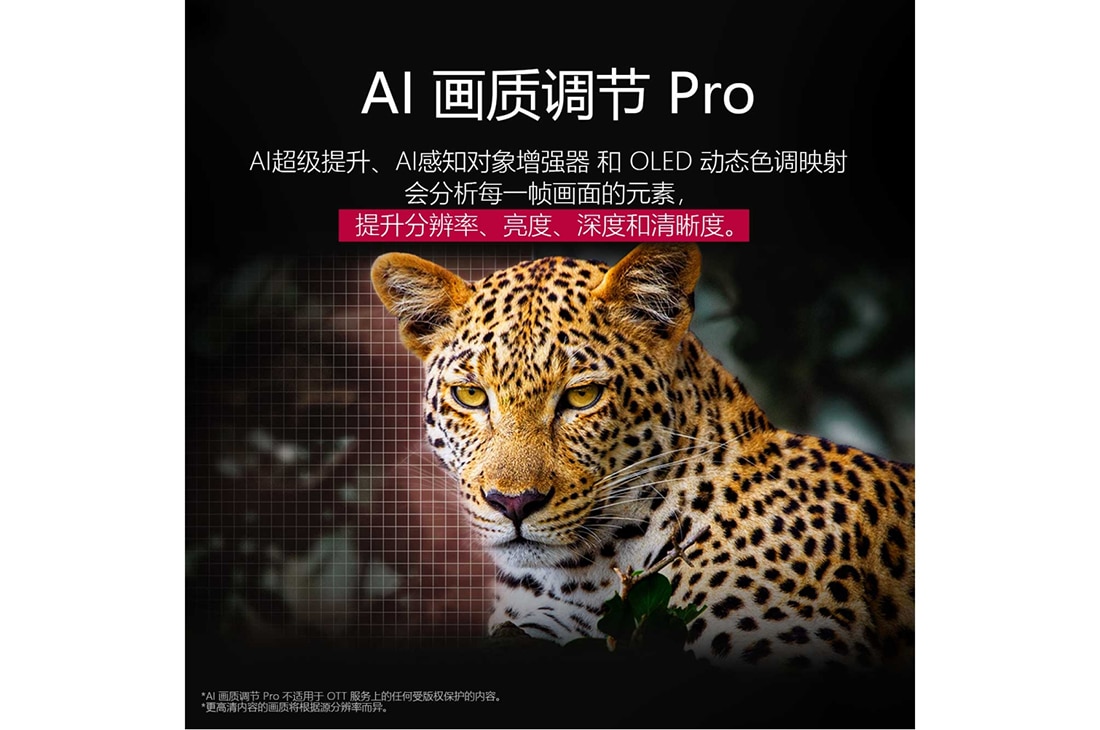 LG 65 英寸 LG OLED AI B5 4K 智能电视, 森林里的豹，色彩鲜艳，细节丰富。豹子的身后有一个网格和一道光芒，这展示了 LG AI 画质调节 Pro 如何对该场景的分辨率、亮度、深度和清晰度进行了令人印象深刻的视觉增强。, OLED65B5PCA, thumbnail 9