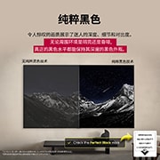 LG 48 英寸 LG OLED AI B5 4K 智能电视 , 客厅空间，墙上安装着LG OLED 电视。电视上显示的是繁星点点的漆黑夜空下的山脉。此场景一分为二。一边展示了一个较为暗淡、灰蒙蒙的景观，上面标注着非纯粹黑色显示。另一边是更为悦目的图片，黑白之间的动态范围更为宽广。上面标注着纯粹黑色显示。徽标认证也是可见的，纯粹黑色技术可在高达 500 lux 的条件下创造小于或等于 0.24 尼特的黑色水平。, OLED48B5PCA, thumbnail 7