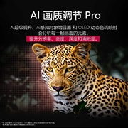 LG 83 英寸 LG OLED AI B5 4K 智能电视 , 森林里的豹，色彩鲜艳，细节丰富。豹子的身后有一个网格和一道光芒，这展示了 LG AI 画质调节 Pro 如何对该场景的分辨率、亮度、深度和清晰度进行了令人印象深刻的视觉增强。, OLED83B5PCA, thumbnail 9