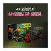 LG官方商城专供<br>86 英寸 LG NanoCell AI NANO80 4K 智能电视 2025, 使用 LG 4K Super Upscaling 技术提升图像质量的前后对比。两个面板显示了同一张图像。在这张图像里，一只彩色的鸟儿栖息在森林里的一支树枝上。右边面板的画面逐渐消失。标题讲述了 4K Super Upscaling 如何提高分辨率，亮度和清晰度。, 86NANO80ACA, thumbnail 8