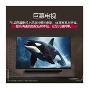 LG官方商城专供<br>86 英寸 LG NanoCell AI NANO80 4K 智能电视 2025, 在现代风格的客厅里，超大屏幕的 LG TV 安装在墙上，位于 LG Soundbar 上方。, 86NANO80ACA, thumbnail 9