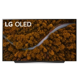 LG OLED CX2