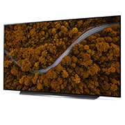 LG OLED CX, OLED65CXPCA, thumbnail 2