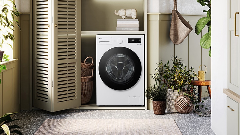 它显示洗衣机的内部的图像