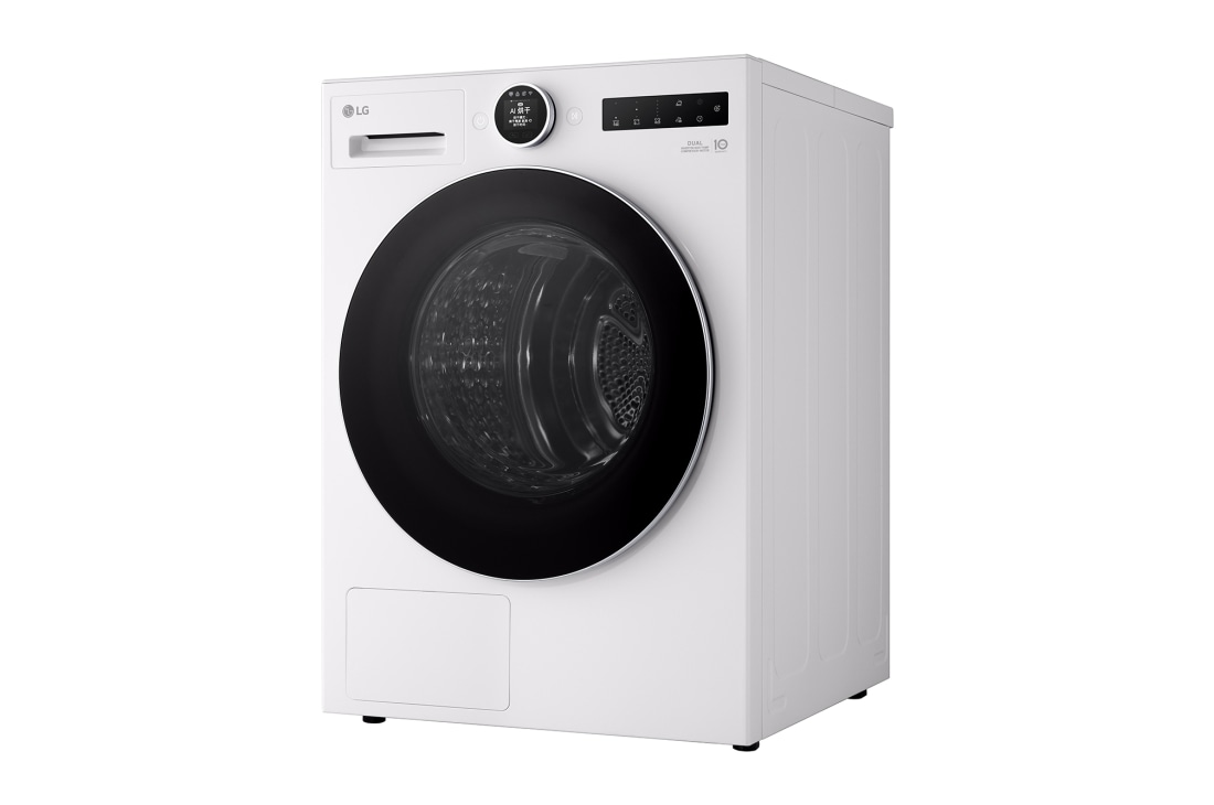 LG AI双变频热泵·觅境干衣机Turbo速烘10Kg 晨露白, 右侧, RH10X75V2N, thumbnail 6