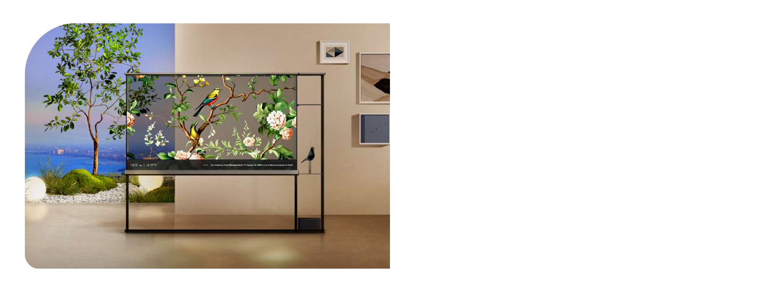 鸟儿、花草和树木的图像漂浮在 LG OLED T 的透明屏幕上，将屏幕与室外的自然融为一体。