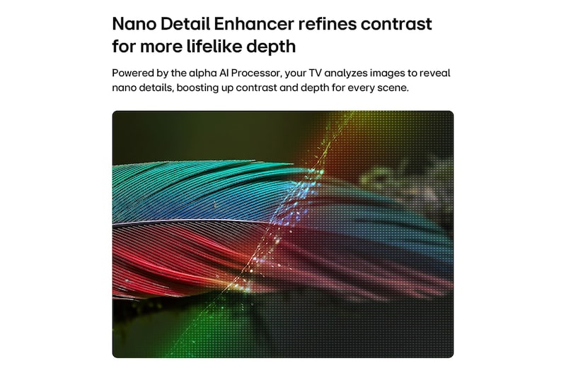 Das LG NANO 4K UHD AI NU85 mit NANO Detail Enhancer zeigt das Bild einer Feder, unterstützt von alpha AI Processor, der feine Texturen erkennt, um Kontrast und Tiefe zu verbessern und ein klareres, dreidimensionaleres 4K-Bild zu liefern.