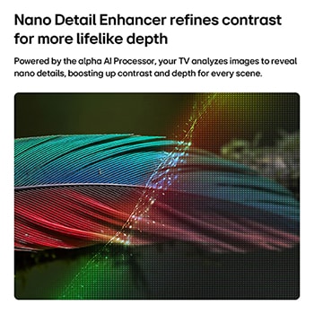 Das LG NANO 4K UHD AI NU85 mit NANO Detail Enhancer zeigt das Bild einer Feder, unterstützt von alpha AI Processor, der feine Texturen erkennt, um Kontrast und Tiefe zu verbessern und ein klareres, dreidimensionaleres 4K-Bild zu liefern.