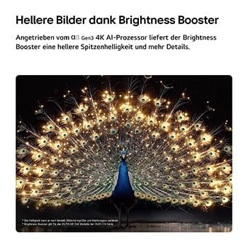 Das LG OLED evo AI C6 mit Brightness Booster zeigt eine dunkle Szene, in der ein prächtig beleuchteter Pfau sein strahlendes, leuchtendes Gefieder entfaltet, und liefert hellere Highlights mit verbesserten Details und beeindruckendem Kontrast.