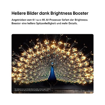 Das LG OLED evo AI C6 mit Brightness Booster zeigt eine dunkle Szene, in der ein prächtig beleuchteter Pfau sein strahlendes, leuchtendes Gefieder entfaltet, und liefert hellere Highlights mit verbesserten Details und beeindruckendem Kontrast.