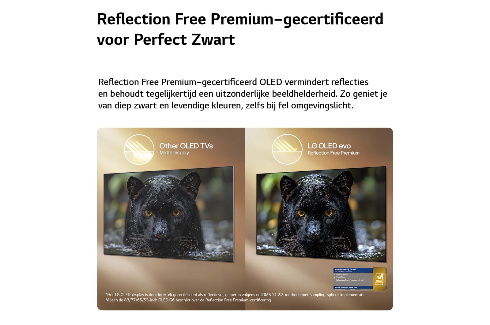 Een LG OLED evo AI G6 met Reflection Free Premium wordt naast een mat scherm met anti-glare getoond, waarbij het beeld van de zwarte jaguar helder blijft met diepe zwarttinten en een fijne textuur, met name in heldere omgevingen, met een Intertek-certificeringsmerk.
