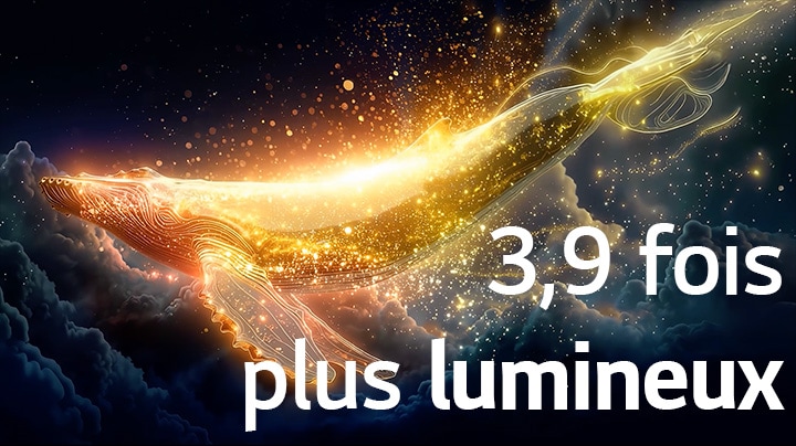 LG OLED evo AI G6 avec Brightness Booster Ultra montre une scène sombre où des particules brillantes entourant une silhouette de baleine, offrant une luminosité de pic jusqu’à 3,9 fois plus lumineuse avec une luminance plus élevée et des détails plus clairs.
