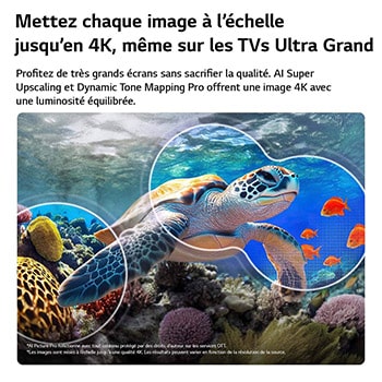 La Mini LED LG QNED evo AI QNED86 pour un gameplay ultime montre une scène de course dynamique et à grande vitesse avec une incrustation de comparaison floue mettant en valeur Motion Booster 288, tout en prenant en charge 144 Hz, VRR, AMD FreeSync, ALLM, HGiG et GeForce NOW.