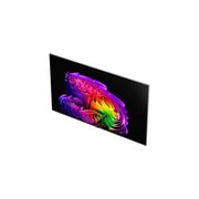 oled65g6psa