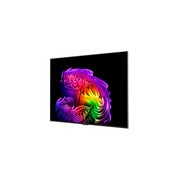 oled65g6psa