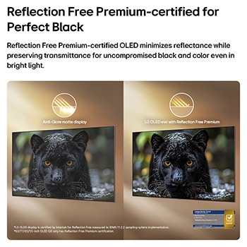 LG OLED evo AI G6 with Reflection Free Premium shows a side-by-side comparison against an anti-glare matte display, keeping the black jaguar image clear with deep blacks and fine texture, especially in bright environments, with an Intertek certification mark shown.