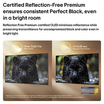 LG OLED evo AI W6 Wallpaper TV with Reflection Free Premium shows a side-by-side comparison against an anti-glare matte display, keeping the black jaguar image clear with deep blacks and fine texture, especially in bright environments, with an Intertek certification mark shown.