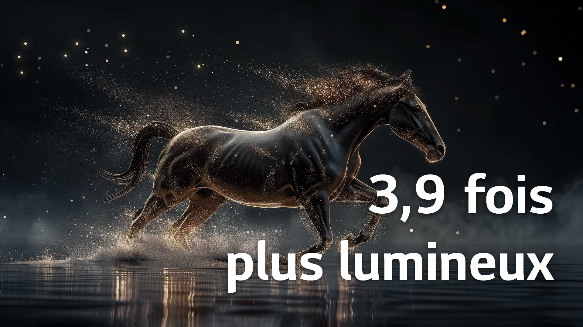 Le téléviseur OLED evo de LG doté du processeur IA alpha 11 4K de troisième génération montre une scène sombre avec des particules lumineuses se formant autour de la silhouette d’un cheval, offrant une luminance plus élevée, des détails plus clairs et une luminosité maximale jusqu’à 3,9 fois plus élevée.