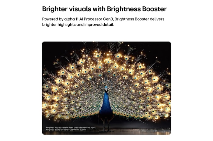 Das LG OLED evo AI C6 mit Brightness Booster zeigt eine dunkle Szene, in der ein prächtig beleuchteter Pfau sein strahlendes, leuchtendes Gefieder entfaltet, und liefert hellere Highlights mit verbesserten Details und beeindruckendem Kontrast.