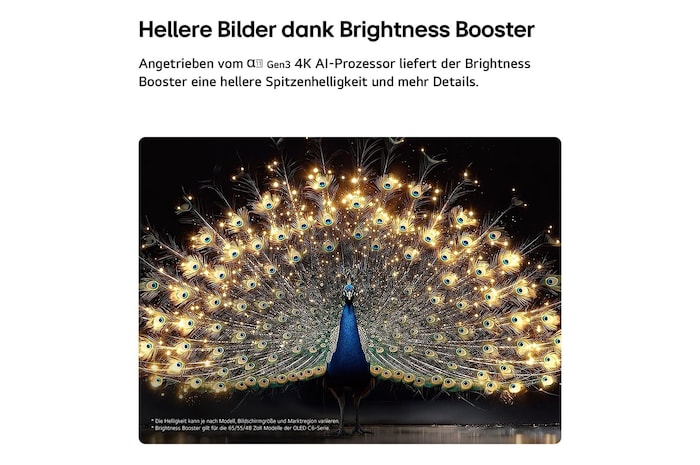 Das LG OLED evo AI C6 mit Brightness Booster zeigt eine dunkle Szene, in der ein prächtig beleuchteter Pfau sein strahlendes, leuchtendes Gefieder entfaltet, und liefert hellere Highlights mit verbesserten Details und beeindruckendem Kontrast.