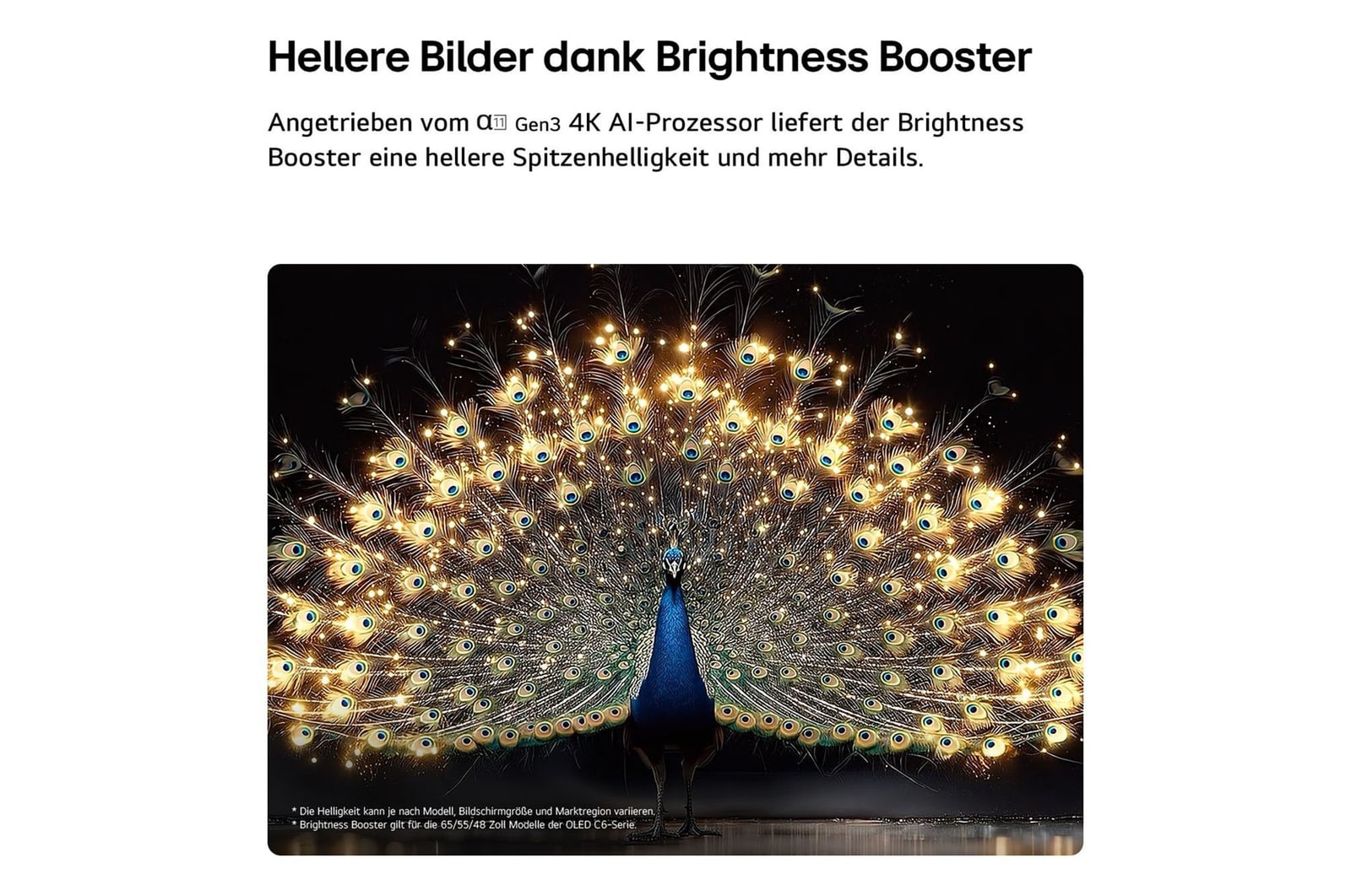Das LG OLED evo AI C6 mit Brightness Booster zeigt eine dunkle Szene, in der ein prächtig beleuchteter Pfau sein strahlendes, leuchtendes Gefieder entfaltet, und liefert hellere Highlights mit verbesserten Details und beeindruckendem Kontrast.