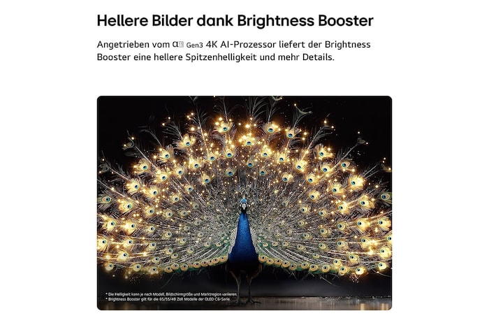 Das LG OLED evo AI C6 mit Brightness Booster zeigt eine dunkle Szene, in der ein prächtig beleuchteter Pfau sein strahlendes, leuchtendes Gefieder entfaltet, und liefert hellere Highlights mit verbesserten Details und beeindruckendem Kontrast.