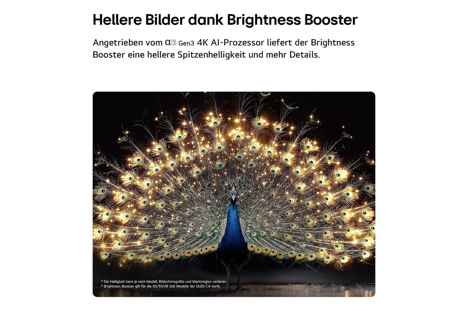 Das LG OLED evo AI C6 mit Brightness Booster zeigt eine dunkle Szene, in der ein prächtig beleuchteter Pfau sein strahlendes, leuchtendes Gefieder entfaltet, und liefert hellere Highlights mit verbesserten Details und beeindruckendem Kontrast.