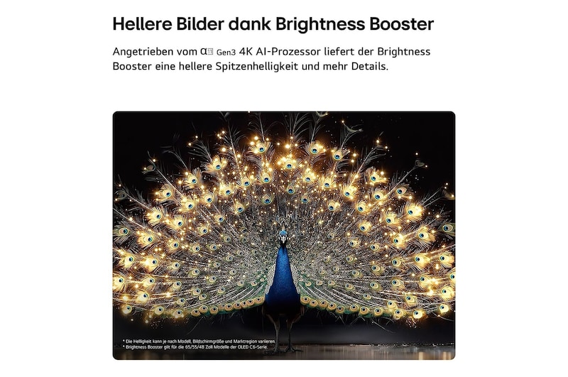 Das LG OLED evo AI C6 mit Brightness Booster zeigt eine dunkle Szene, in der ein prächtig beleuchteter Pfau sein strahlendes, leuchtendes Gefieder entfaltet, und liefert hellere Highlights mit verbesserten Details und beeindruckendem Kontrast.