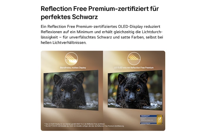 Das LG OLED evo AI G6, hier von der Seite abgebildet, besticht durch sein Flush Fit Gallery Design mit einer lückenlosen Wandmontage. Es zeigt eine Nachtszene mit einer beleuchteten Brücke und Spiegelungen im Wasser.