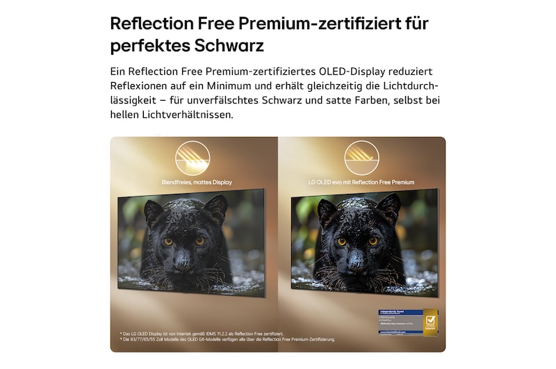 Das LG OLED evo AI G6, hier von der Seite abgebildet, besticht durch sein Flush Fit Gallery Design mit einer lückenlosen Wandmontage. Es zeigt eine Nachtszene mit einer beleuchteten Brücke und Spiegelungen im Wasser.