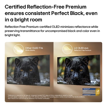 La LG OLED evo AI G6 avec Reflection Free Premium montre une comparaison côte à côte avec un écran mat anti-glare, maintenant l’image de jaguar noir claire avec des noirs profonds et une texture fine, en particulier dans les environnements lumineux, avec une marque de certification Intertek affichée.