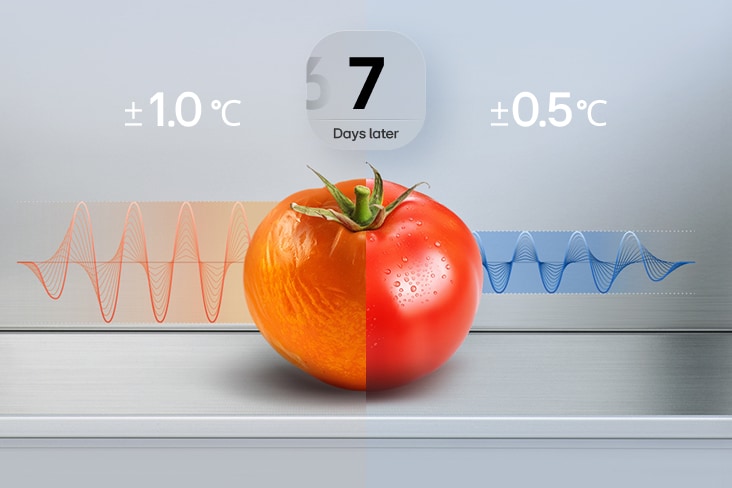 Comparación entre un tomate almacenado a ±1.0 °C y otro almacenado a ±0.5 °C durante 7 días, lo que muestra resultados más frescos con un control preciso de la temperatura para conservar mejor los alimentos.