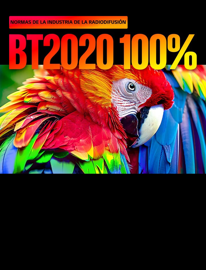 El TV LG Micro RGB evo, con una cobertura de color triple certificada al 100 %, cumple con los estándares de la industria de la radiodifusión BT2020 al 100 %, y muestra un guacamayo en vivos tonos rojos, verdes y azules que llenan la pantalla para demostrar la precisión del color en todo el espectro.	