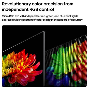 LG Micro RGB evo AI MRGB95 s technologií RGB Primary Color Ultra zobrazuje na obrazovce obrázek květiny s přesně řízeným červeným, zeleným a modrým světlem z různých mikro RGB modulů, které zajišťují vyvážené barvy a jemný kontrast. 