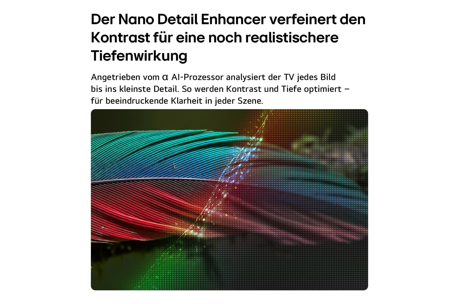 Der LG NANO 4K UHD AI NU80 mit NANO Detail Enhancer zeigt das Bild einer Feder, unterstützt vom alpha AI Processor, der feine Texturen erkennt, um Kontrast und Tiefe zu verbessern und ein klareres, dreidimensionaleres 4K-Bild zu liefern.