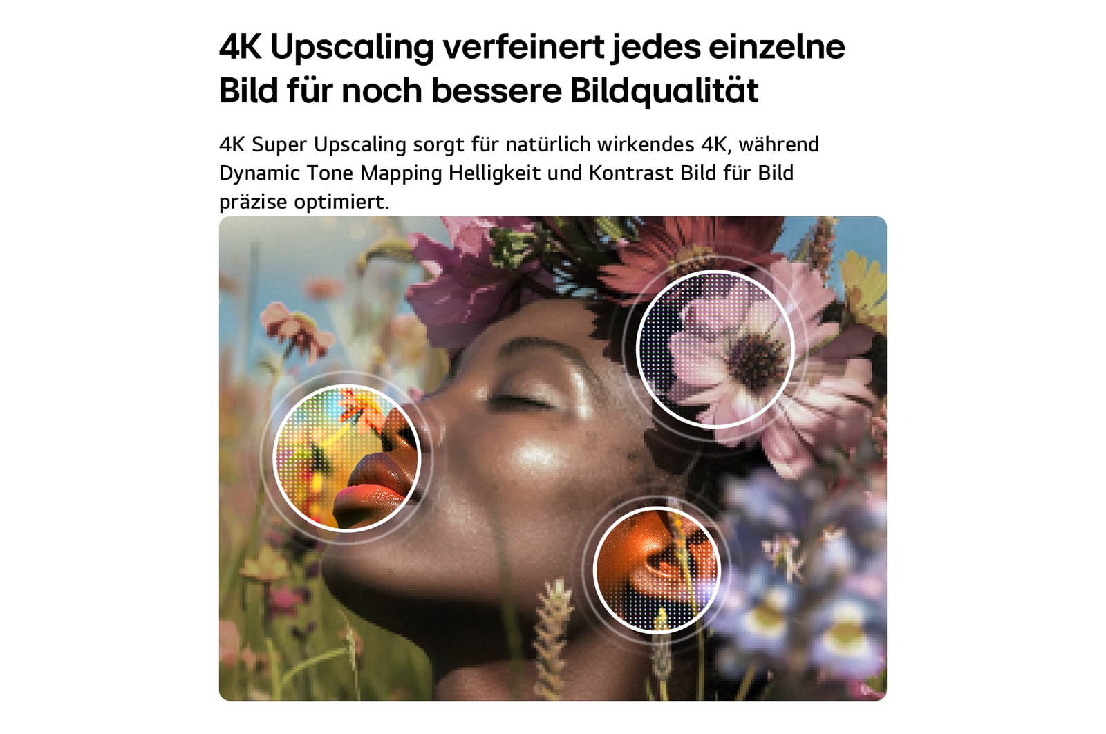 Der LG NANO 4K UHD AI NU80 mit 4K Super Upscaling und Dynamic Tone Mapping zeigt eine Unterwasserszene mit einem Seelöwen, wobei die KI jeden Frame erkennt und auf eine Auflösung von bis zu 4K hochskaliert.