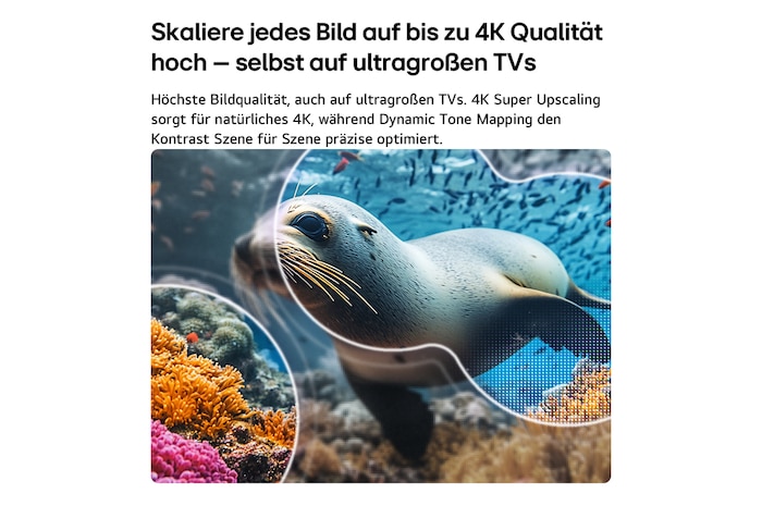 Der LG NANO 4K UHD AI NU80 mit 4K Super Upscaling und Dynamic Tone Mapping zeigt eine Unterwasserszene mit einem Seelöwen, wobei die KI jeden Frame erkennt und auf eine Auflösung von bis zu 4K hochskaliert.