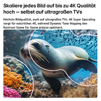Der LG NANO 4K UHD AI NU8E mit 4K Super Upscaling und Dynamic Tone Mapping zeigt eine Unterwasserszene mit einem Seelöwen, wobei die KI jeden Frame erkennt und auf eine Auflösung von bis zu 4K hochskaliert.