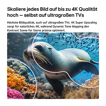 85 Zoll LG NANO 4K UHD AI NU90 Smart TV 2026