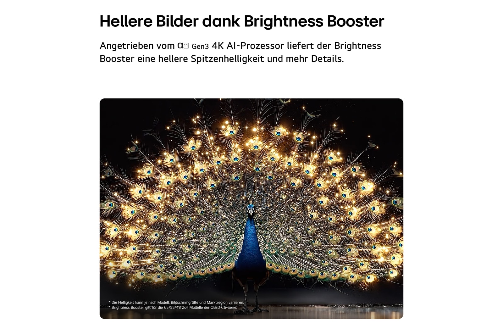 Der LG OLED evo AI C6 mit Brightness Booster zeigt eine dunkle Szene, in der ein prächtig beleuchteter Pfau sein strahlendes, leuchtendes Gefieder entfaltet, und liefert hellere Highlights mit verbesserten Details und beeindruckendem Kontrast.
