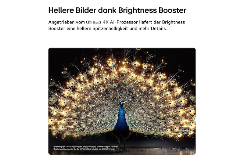 Der LG OLED evo AI C6 mit Brightness Booster zeigt eine dunkle Szene, in der ein prächtig beleuchteter Pfau sein strahlendes, leuchtendes Gefieder entfaltet, und liefert hellere Highlights mit verbesserten Details und beeindruckendem Kontrast.