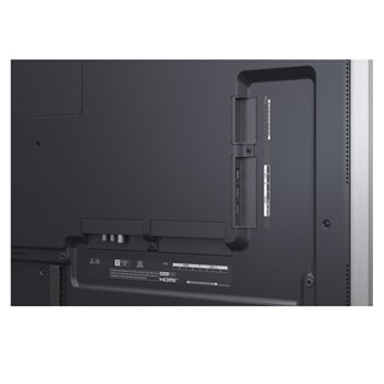 back view of the specific view