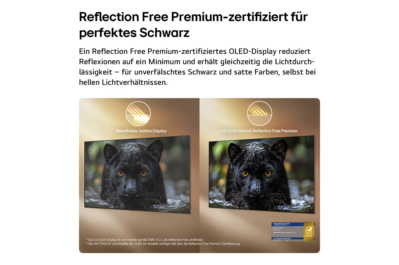 65 Zoll LG OLED evo AI G6 4K Smart TV 2026