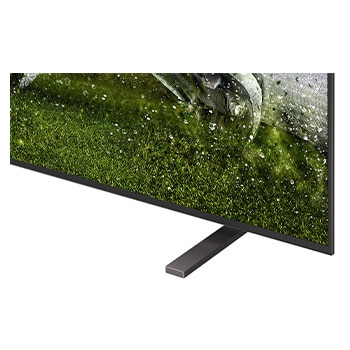 65 Zoll LG OLED AI B6E 4K Smart TV 2026
