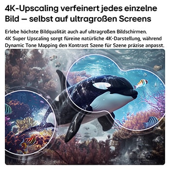 Ein LG QNED evo AI QNED80 Mini LED mit 4K Super Upscaling und Dynamic Tone Mapping zeigt eine Unterwasserszene mit einem schwimmenden Orca, bei der KI jedes Einzelbild erkennt und auf 4K-Auflösung hochskaliert.
