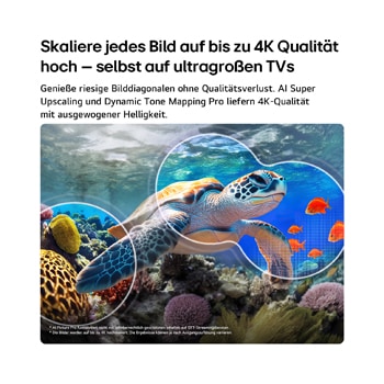 Ein LG QNED evo AI QNED82 Mini LED mit AI Picture Pro und Dynamic Tone Mapping Pro zeigt eine Unterwasserszene, in der eine Meeresschildkröte über Korallen und Fischen gleitet. Die KI erkennt jedes Einzelbild und skaliert es auf eine Auflösung von bis zu 4K hoch.