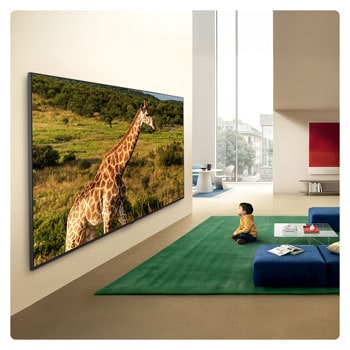 Ein in einem hellen Wohnbereich an die Wand montierter LG QNED evo AI QNED85 Mini LED Ultra Big TV zeigt eine Giraffe in einer natürlichen Landschaft mit lebendigen Details. Dadurch werden die immersive Größe und Präsenz für ein vor dem Gerät sitzendes Kind hervorgehoben.