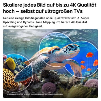 Ein LG QNED evo AI QNED85 Mini LED mit AI Picture Pro und Dynamic Tone Mapping Pro zeigt eine Unterwasserszene, in der eine Meeresschildkröte über Korallen und Fischen schwimmt. Die KI erkennt jedes Einzelbild und skaliert es auf eine Auflösung von bis zu 4K hoch.